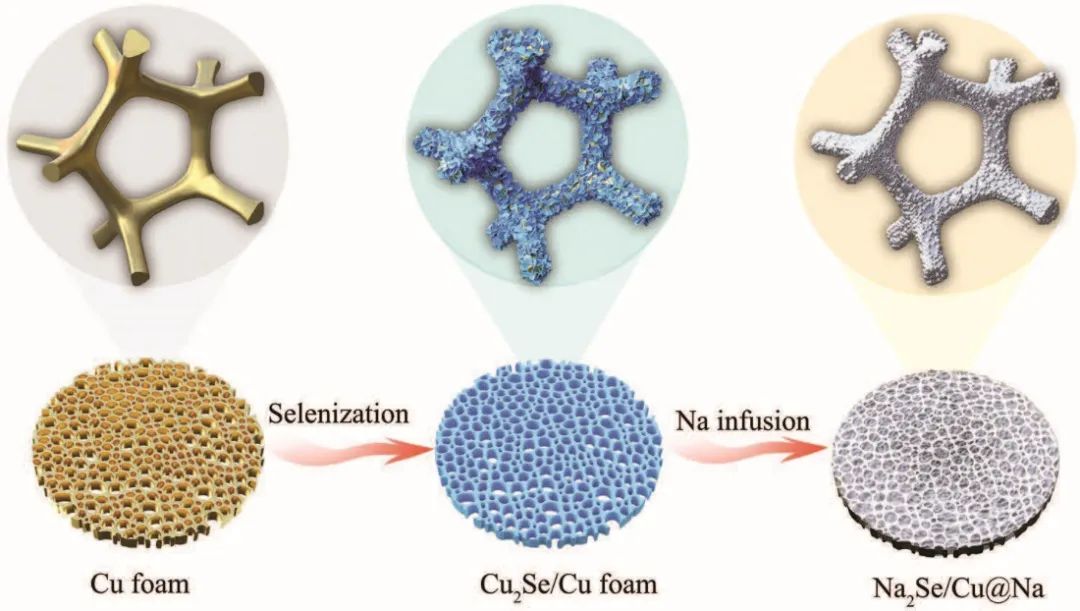 ?何傳新/余彥AFM：多孔骨架協(xié)同硒化界面實(shí)現(xiàn)穩(wěn)定鈉/鉀負(fù)極！