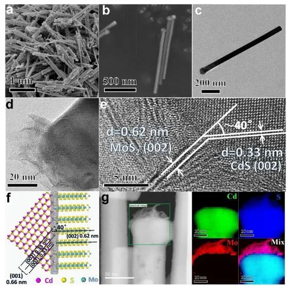 催化頂刊集錦：Nature子刊、AM、AEM、ACS Catalysis、Nano Energy等成果