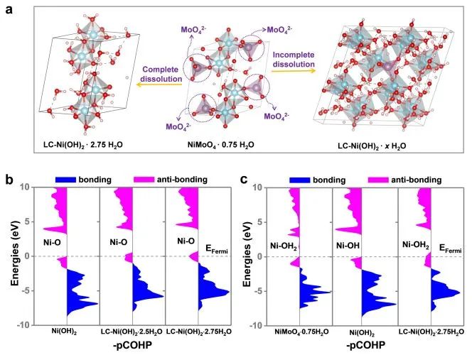 催化頂刊集錦：Nature子刊、AM、AEM、ACS Catalysis、Nano Energy等成果