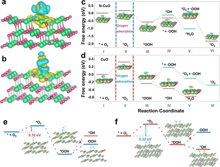 催化頂刊集錦：Angew.、Nature子刊、AFM、Small、Nano Res.等成果