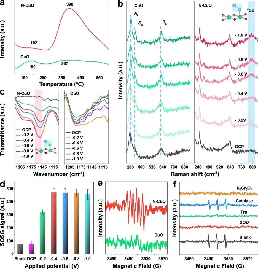 催化頂刊集錦：Angew.、Nature子刊、AFM、Small、Nano Res.等成果