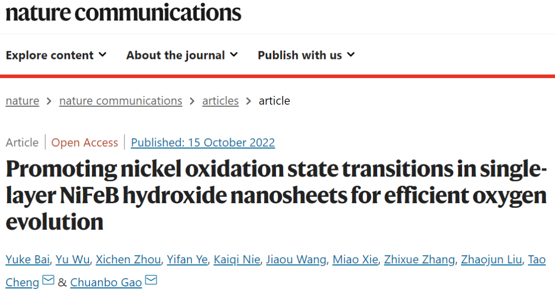 高傳博&程濤Nature子刊：NiFeB氫氧化物納米片實現(xiàn)高效OER