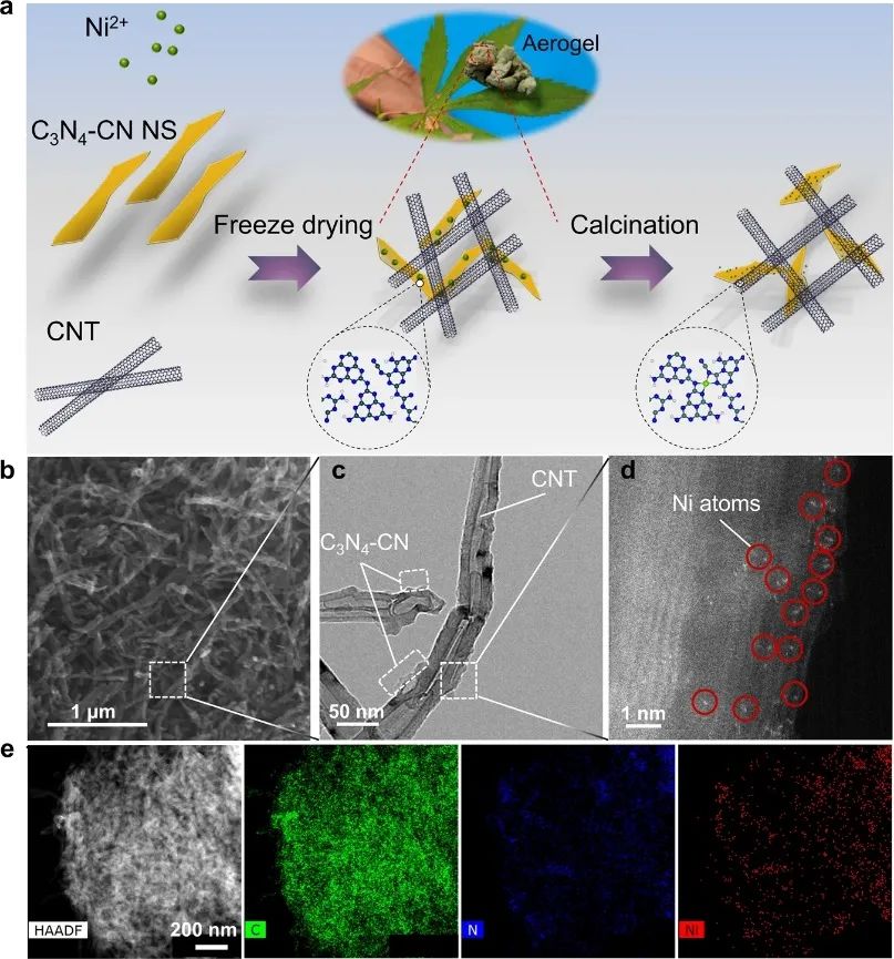 中南劉敏教授等Nature子刊：Ni@C3N4-CN助力CO2電還原為CO