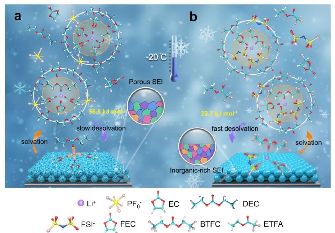 ?鄭洪河/羅巍ACS Energy Letters：電解液設(shè)計(jì)助力-20℃低溫硅基電池
