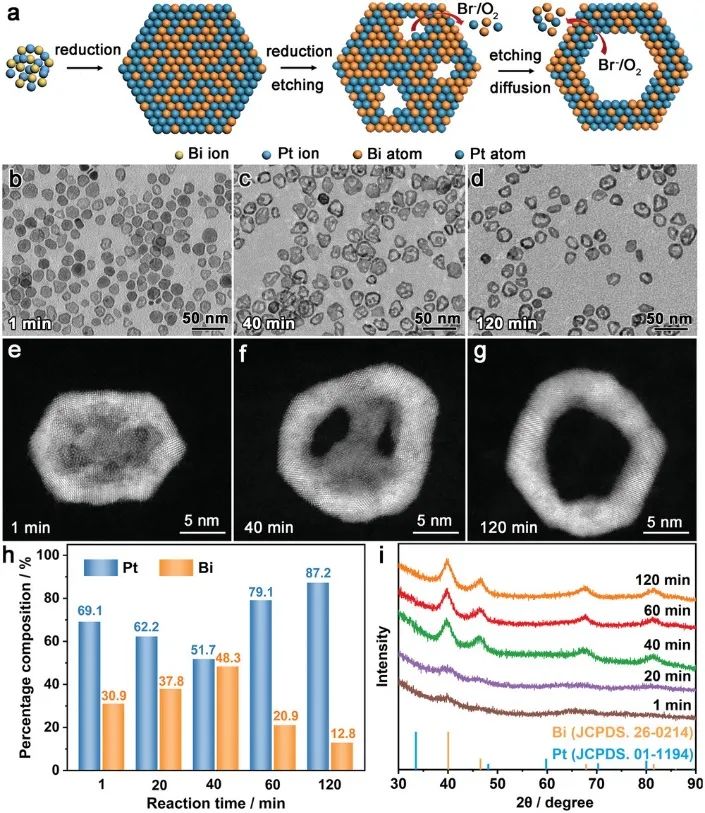 催化頂刊集錦：Angew.、Nature子刊、AFM、Small、Nano Res.等成果