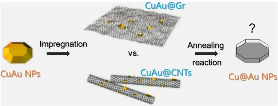 催化頂刊集錦：Angew.、Nature子刊、AFM、Small、Nano Res.等成果