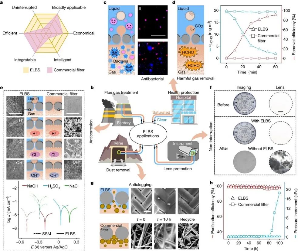 廈門大學，最新Nature！