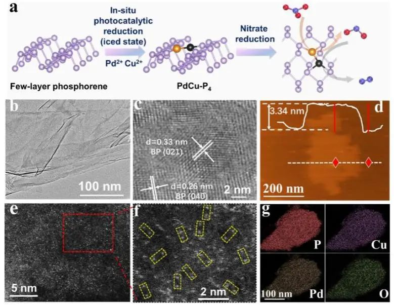 催化頂刊集錦：Nat. Commun.、Angew.、Nano Letters、AFM、ACS Nano等最新成果！