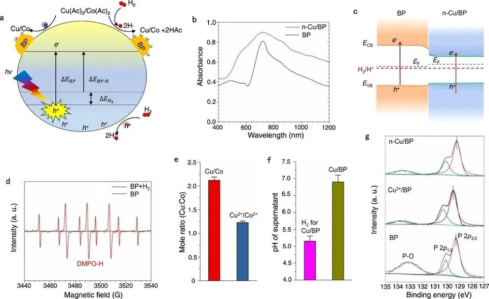 重慶大學(xué)王煜?Nature子刊：n-Cu/BP高效制取氫氣