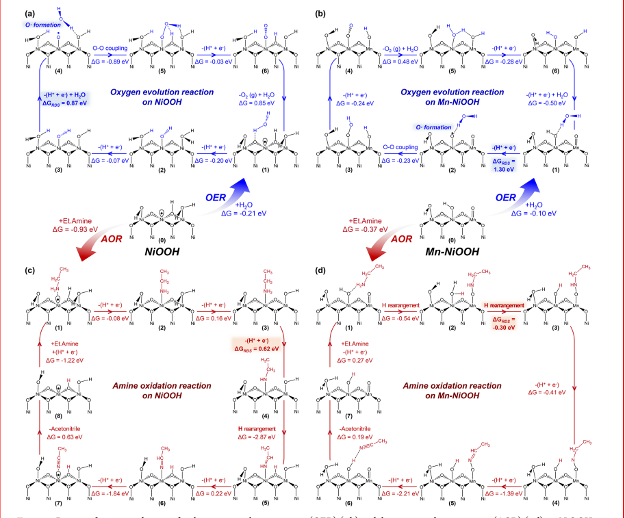 頂刊成果集錦：JACS、Angew.、Nature子刊、ACS Catalysis、ACS Nano等！