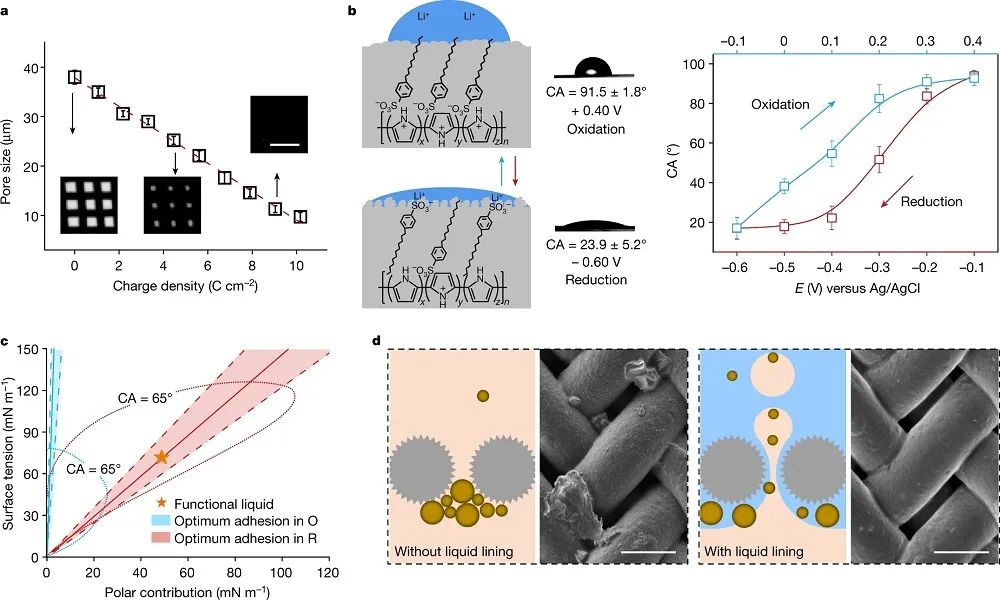 廈門大學，最新Nature！