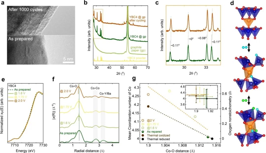 孟穎/徐梽川，最新Nature子刊！