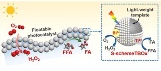 頂刊成果集錦：JACS、Angew.、Nature子刊、ACS Catalysis、ACS Nano等！