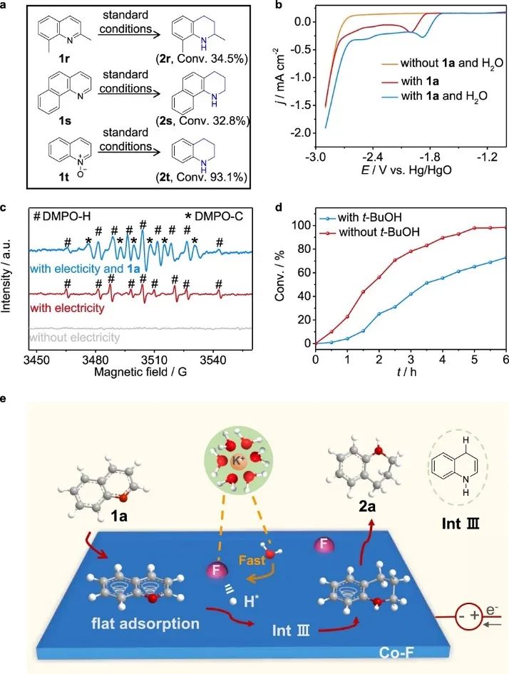 ?張兵/劉翠波Nature子刊：氟改性鈷催化劑助力喹啉與水的電催化加氫