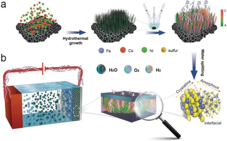 ?川大/山大Adv. Sci.：結(jié)晶/非晶界面起大作用，加速FeCo(NiS2)4-C/A的水電解動(dòng)力學(xué)