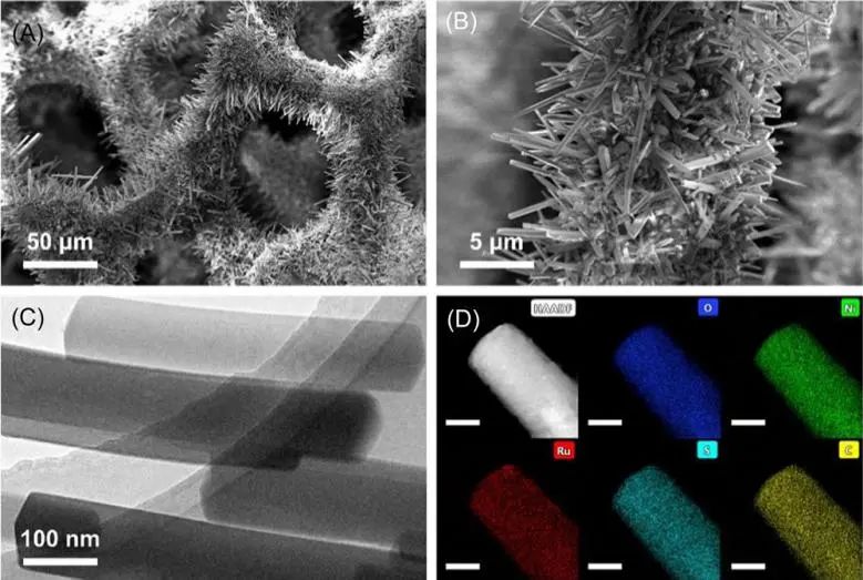 催化頂刊集錦：Angew.、JACS、AEM、ACS Catalysis、AFM、Carbon Energy等