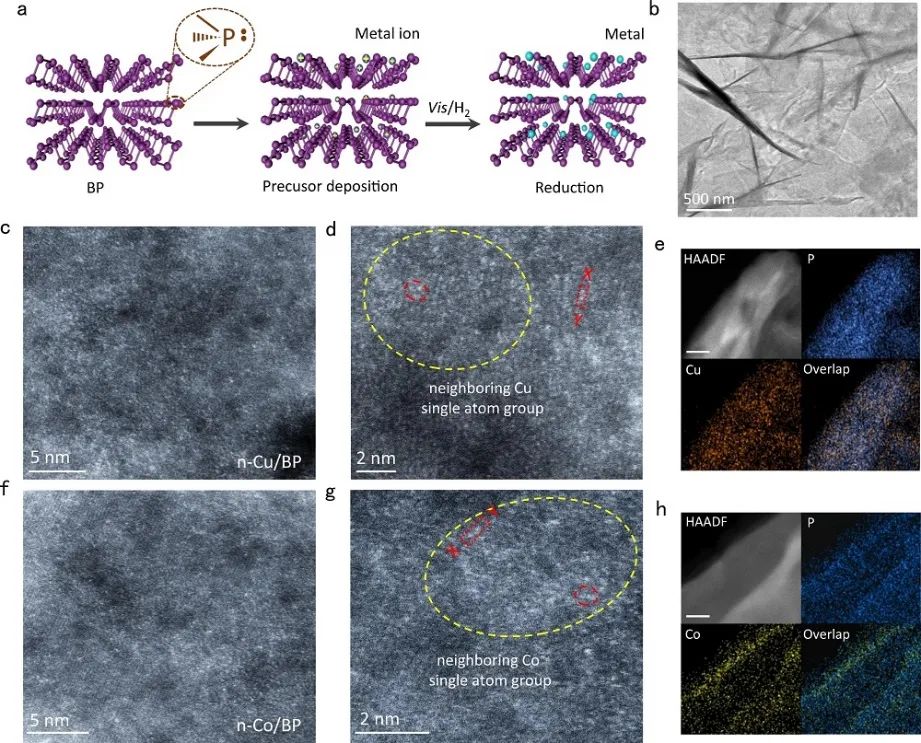 重慶大學(xué)王煜?Nature子刊：n-Cu/BP高效制取氫氣