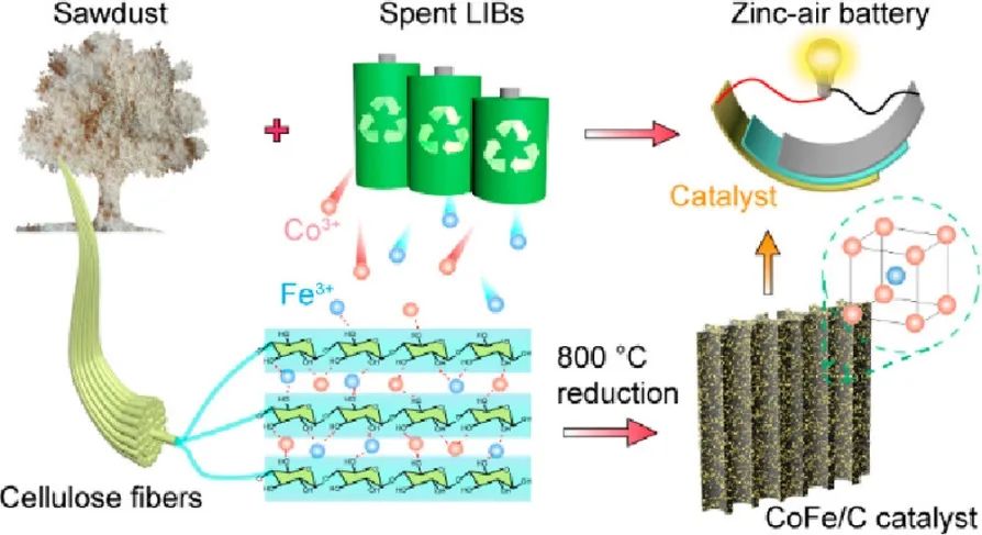 頂刊成果集錦：JACS、Angew.、Nature子刊、ACS Catalysis、ACS Nano等！