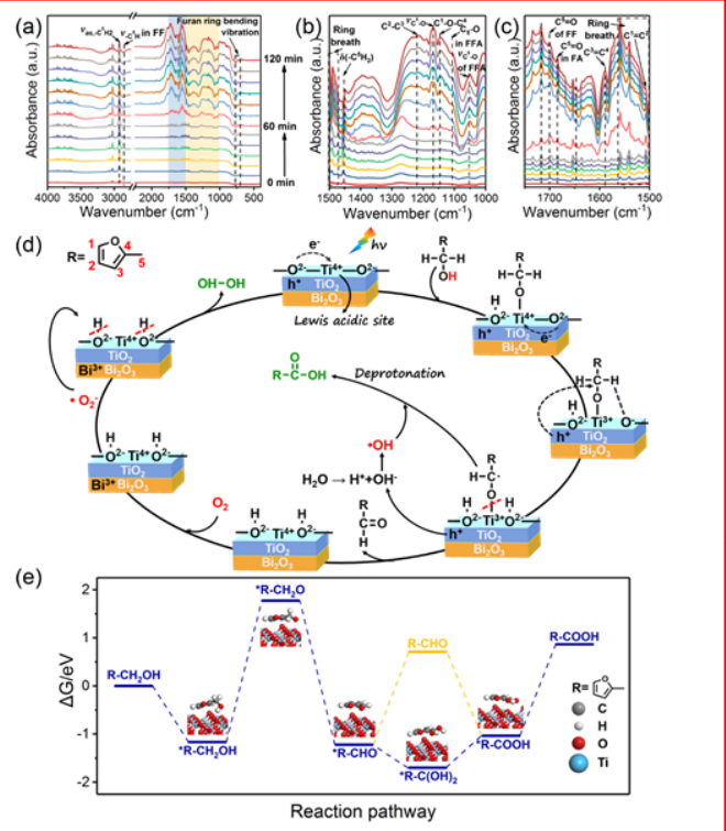 頂刊成果集錦：JACS、Angew.、Nature子刊、ACS Catalysis、ACS Nano等！