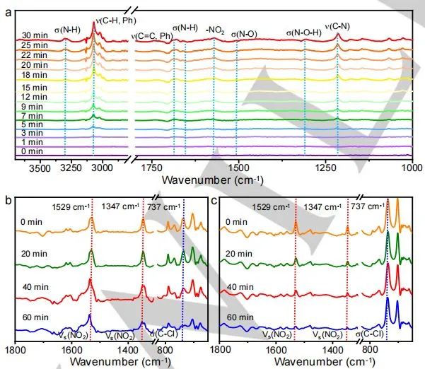 催化頂刊集錦：Angew.、JACS、AEM、ACS Catalysis、AFM、Carbon Energy等