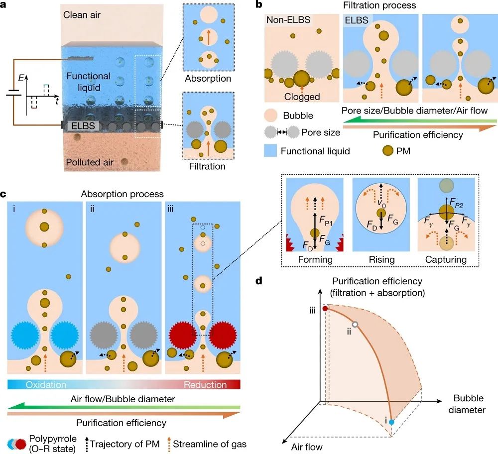 廈門大學，最新Nature！