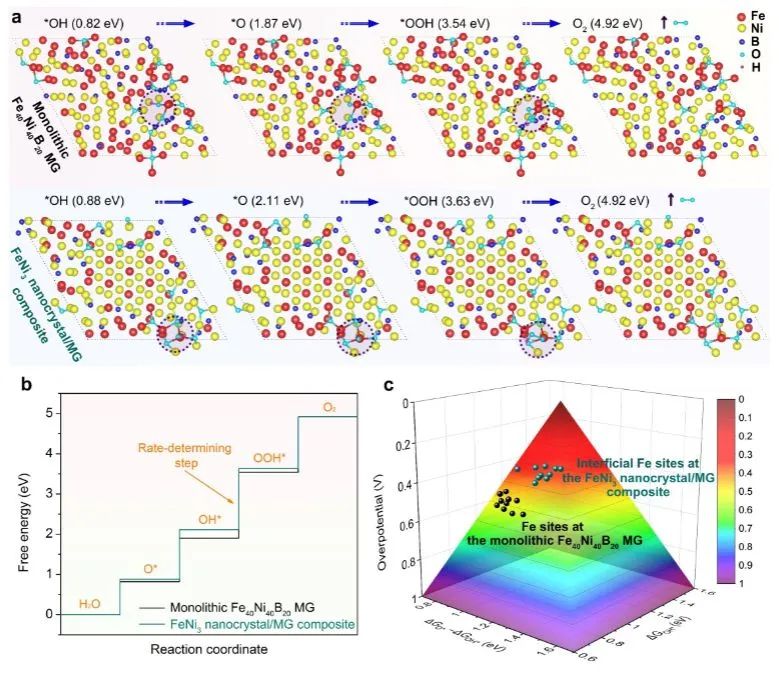 八篇催化頂刊：Nature子刊、EES、AM、AFM、Nano Letters、ACS Nano等成果集錦！