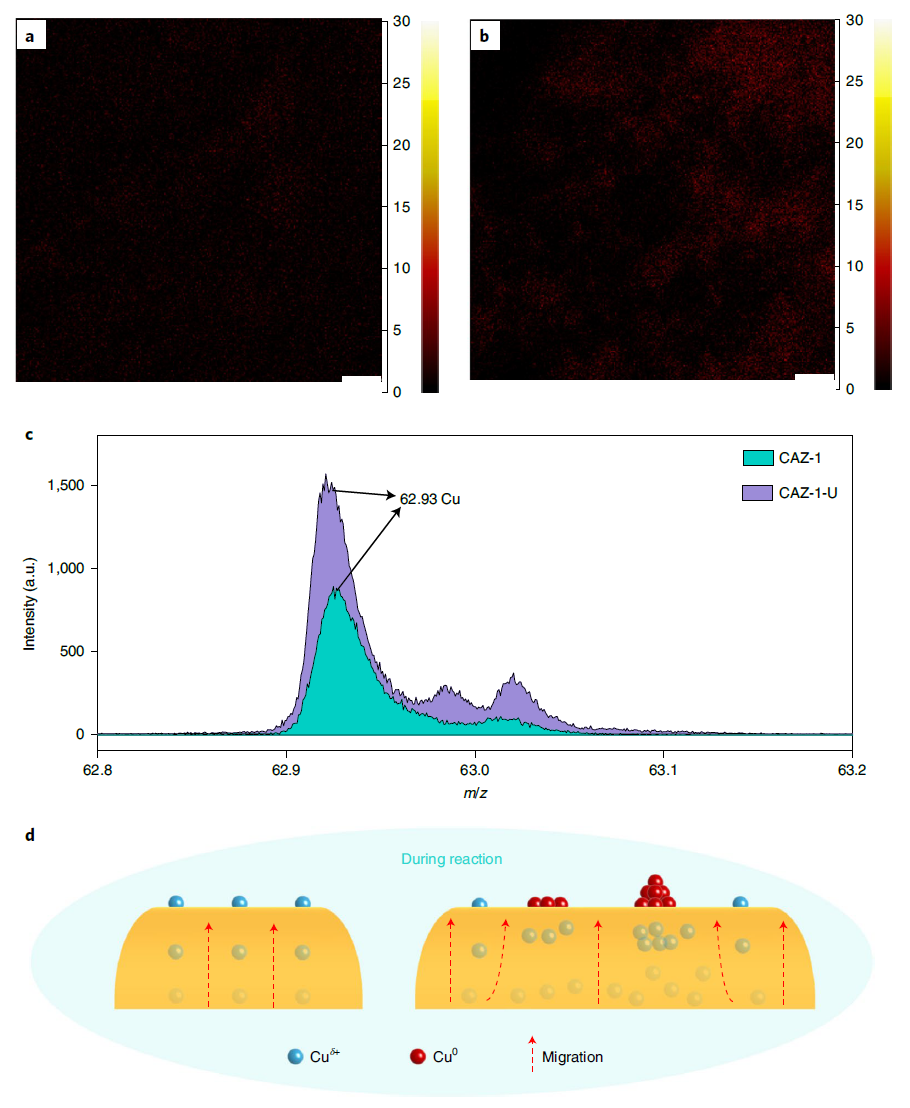 今日重磅！譚理&劉智攀Nature Catalysis：單原子催化！