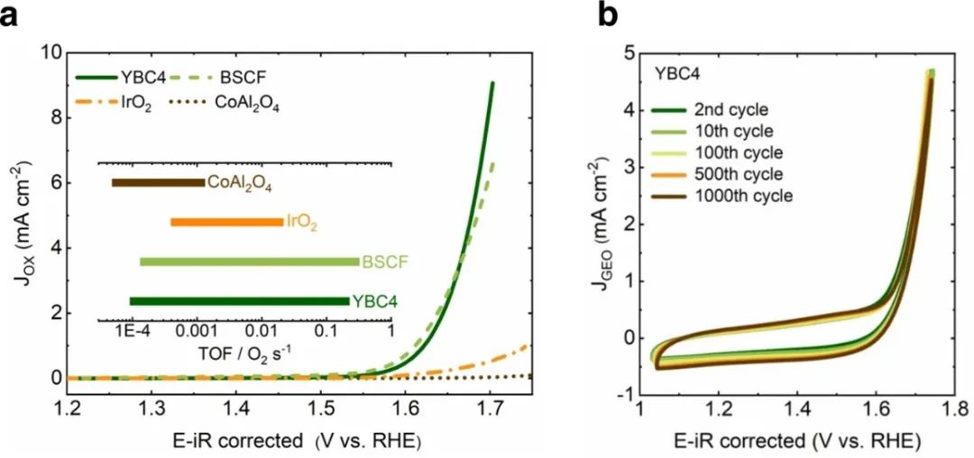 孟穎/徐梽川，最新Nature子刊！