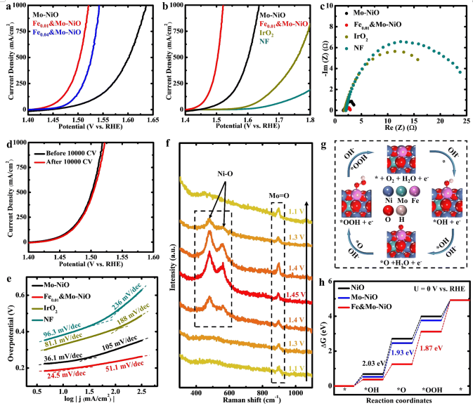 八篇最新頂刊集錦：ACS Catalysis、EES、AM、Angew等成果！