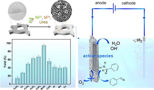 頂刊成果集錦：JACS、Angew.、Nature子刊、ACS Catalysis、ACS Nano等！