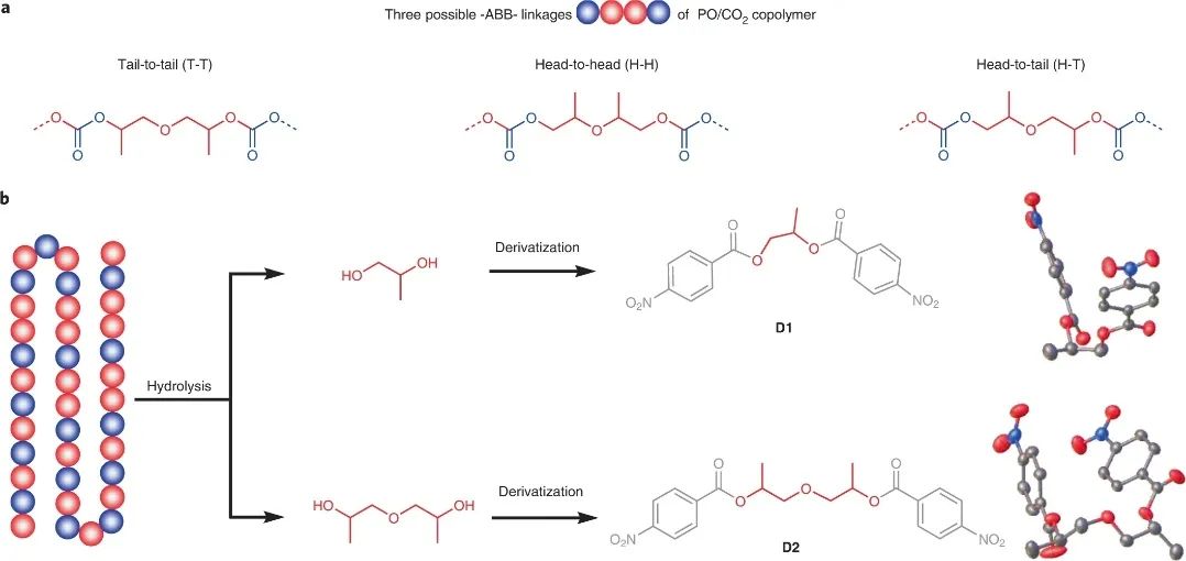 浙大伍廣朋團隊Nature Synthesis：CO2和環(huán)氧丙烷精準(zhǔn)共聚！