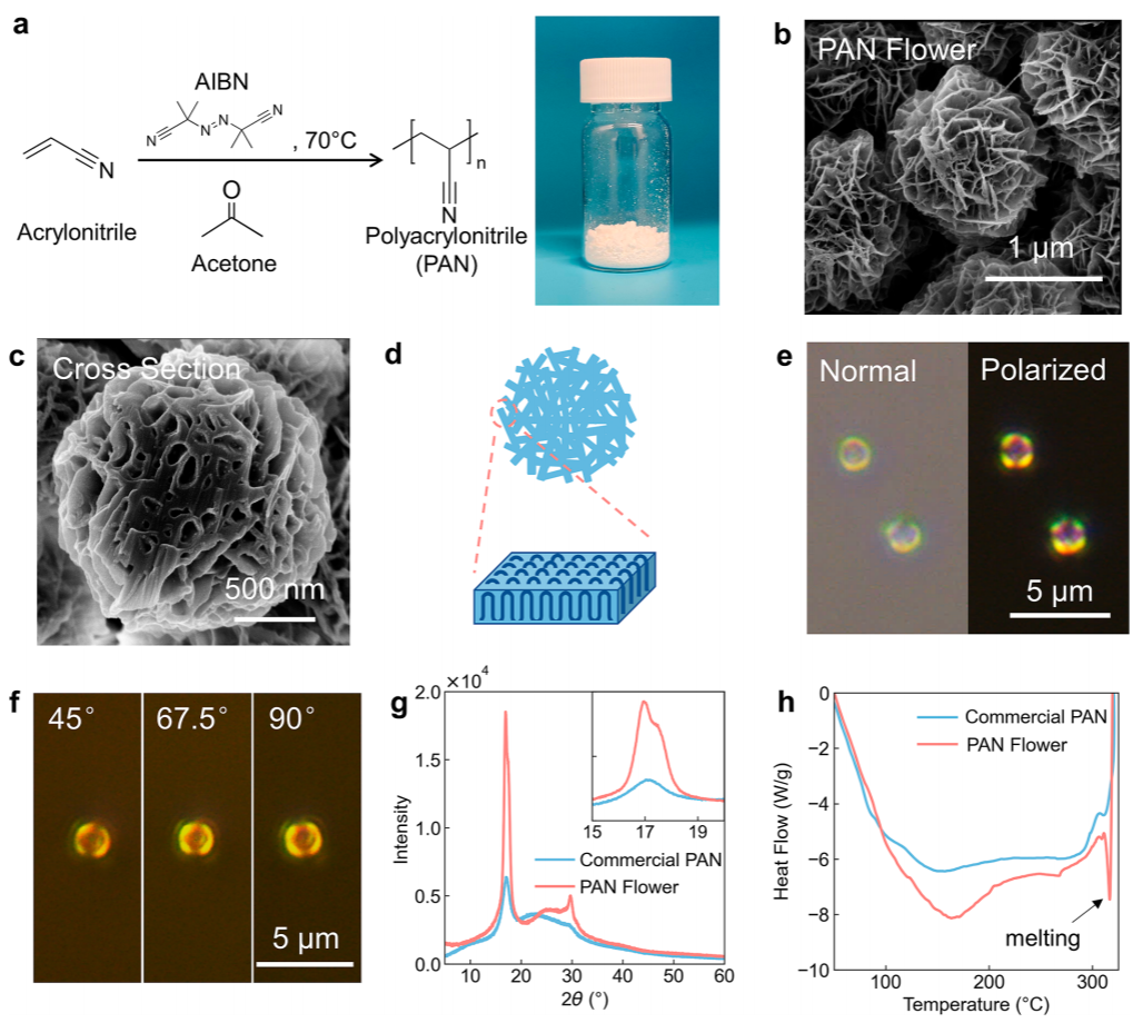 鮑哲南教授，最新JACS！