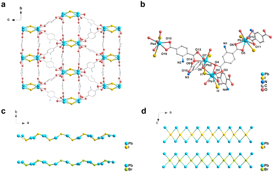 【催化+計(jì)算】最新頂刊：JACS、EES、Angew、Nature子刊、ACS Catalysis、ACS Nano等！