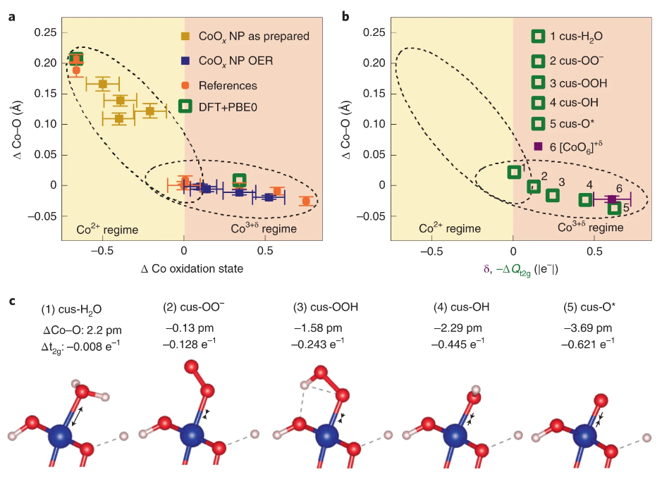 【催化+計(jì)算】最新頂刊：JACS、EES、Angew、Nature子刊、ACS Catalysis、ACS Nano等！