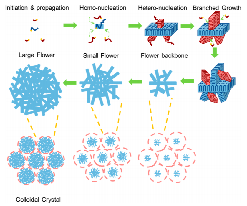 鮑哲南教授，最新JACS！