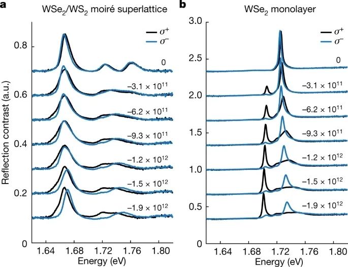 今日Nature：moiré激子長(zhǎng)啥樣？讓我們一起來(lái)瞅瞅！