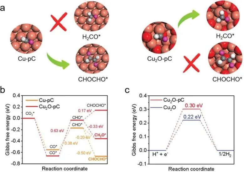 最新催化頂刊：JACS、EES、AM、AFM、ACS Catalysis、Nano Letters、NML等成果集錦！