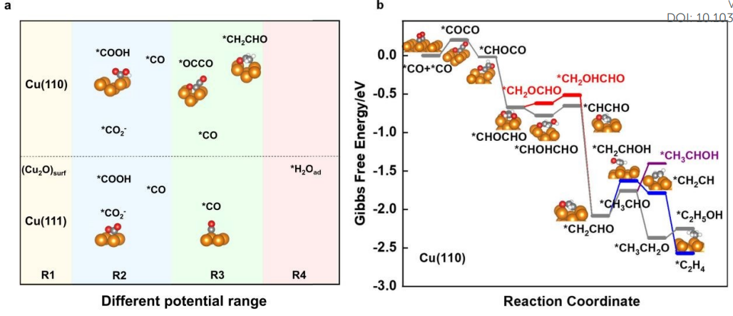 【催化+計(jì)算】最新頂刊：JACS、EES、Angew、Nature子刊、ACS Catalysis、ACS Nano等！