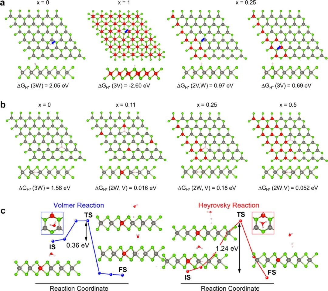 【催化+計(jì)算】最新頂刊：JACS、EES、Angew、Nature子刊、ACS Catalysis、ACS Nano等！