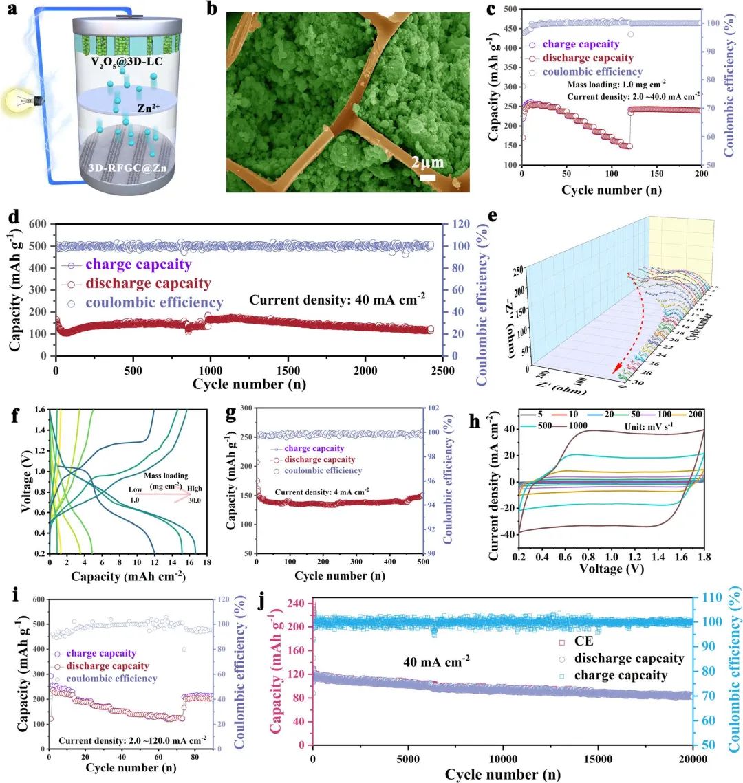 趙天壽/曾林Nature子刊：三維分層石墨烯基質(zhì)助力穩(wěn)定的鋅負(fù)極