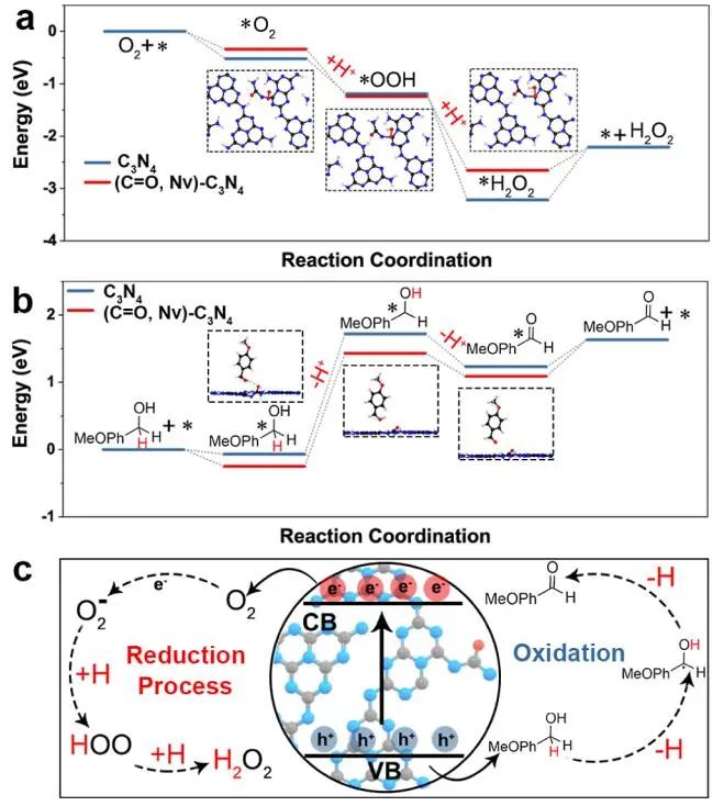 黑龍江大學(xué)JACS：ASCN-3助力選擇性醇氧化光催化生產(chǎn)H2O2