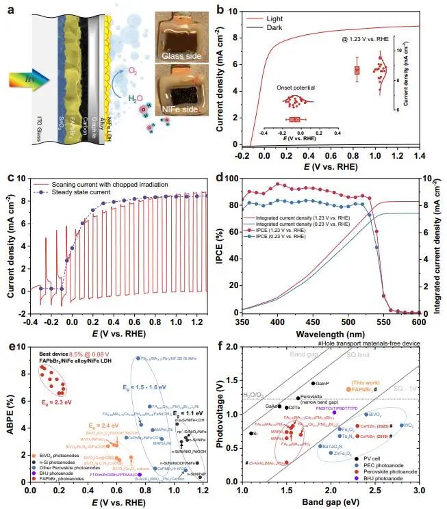 催化頂刊集錦：JACS、Nature子刊、Angew.、ACS Catal.、AFM、ACS Nano等成果