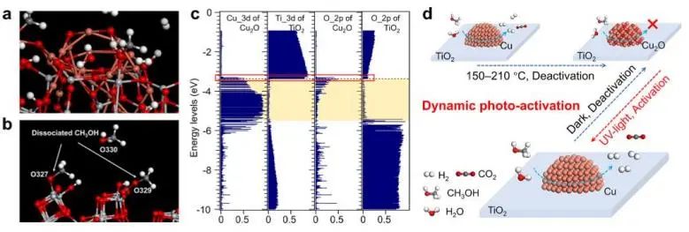 催化頂刊集錦：JACS、Nature子刊、Angew.、ACS Catal.、AFM、ACS Nano等成果