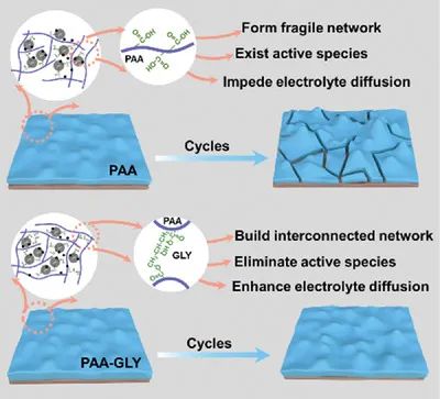 楊劍/柏中朝AEM: 分子交聯(lián)增強(qiáng)聚合物粘結(jié)劑用于鈉離子電池的合金負(fù)極