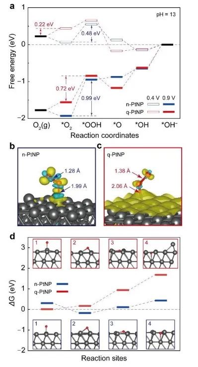 催化頂刊合集：Nature子刊、EES、AM、CEJ、ACB、ACS Catalysis等成果！