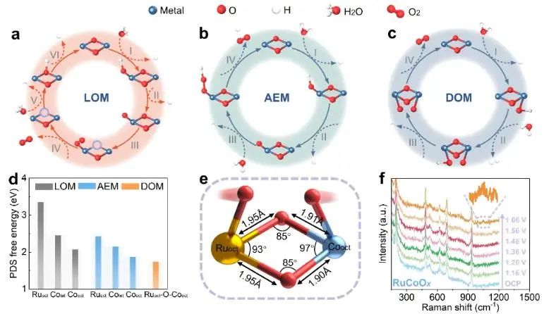 催化頂刊集錦：Nature子刊、JACS、EES、Angew.、AFM、ACS Catal.等