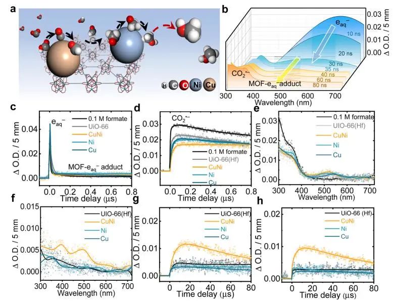 催化頂刊集錦：Nature子刊、JACS、EES、Angew.、AFM、ACS Catal.等