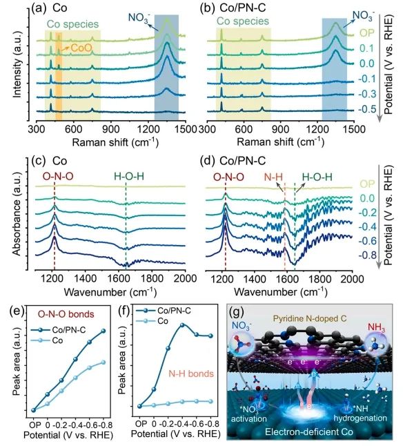 中南Nano Energy：缺電子Co納米晶立大功，有效促進(jìn)NO3?電還原為NH3