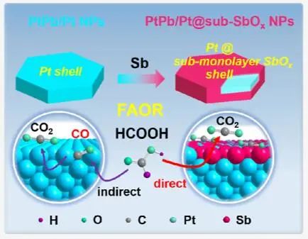 卜令正/黃小青JACS：提高151倍！PtPb/Pt@sub-SbOx NPs催化直接甲酸氧化，助力直接甲酸燃料電池