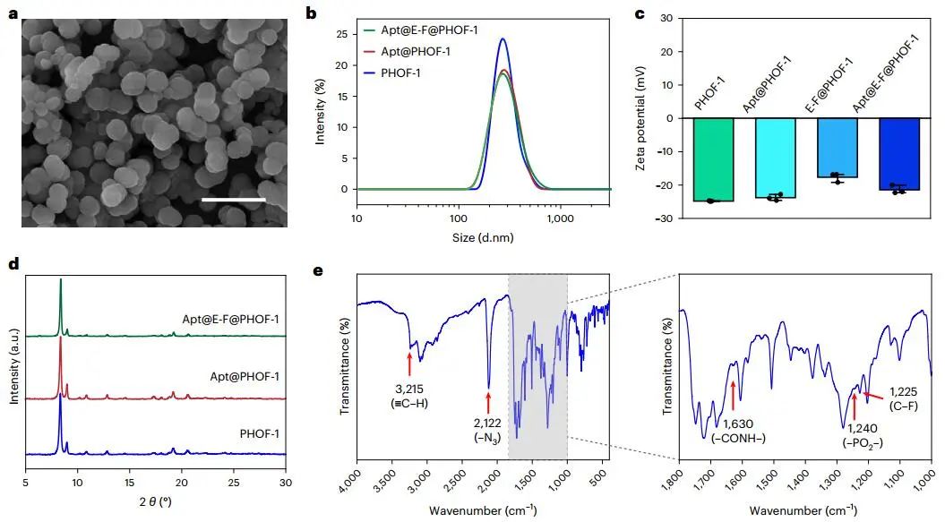 曲曉剛研究員，最新Nature Catalysis！